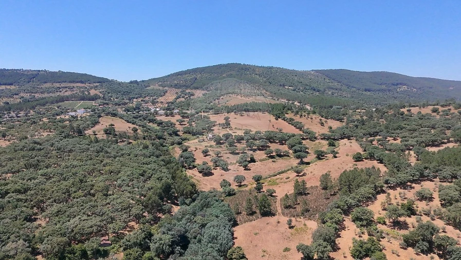 Terreno para Venda em Santa Maria de Marvão Foto 19