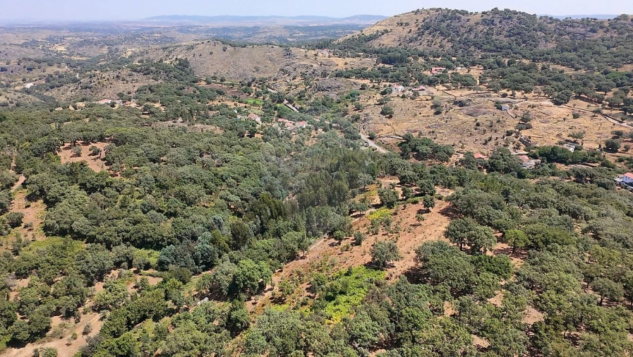 Terreno para Venda em Santa Maria de Marvão Foto 26