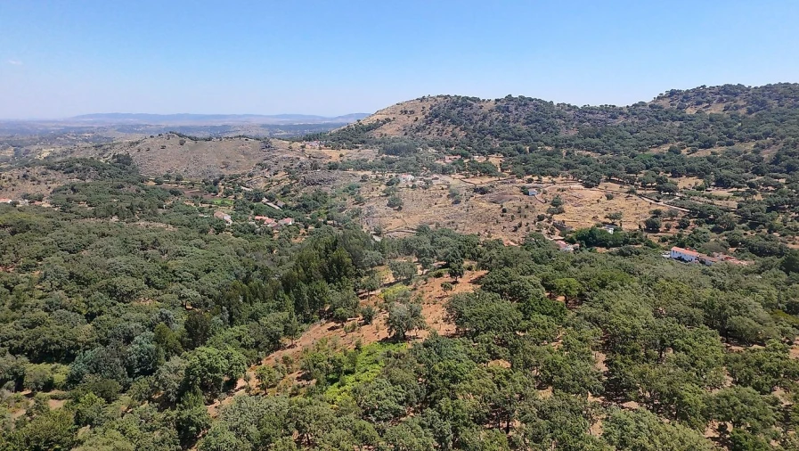 Terreno para Venda em Santa Maria de Marvão Foto 12