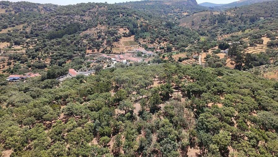Terreno para Venda em Santa Maria de Marvão Foto 29