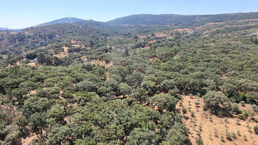 Terreno para Venda em Santa Maria de Marvão Foto 4