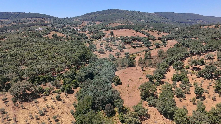 Terreno para Venda em Santa Maria de Marvão Foto 7