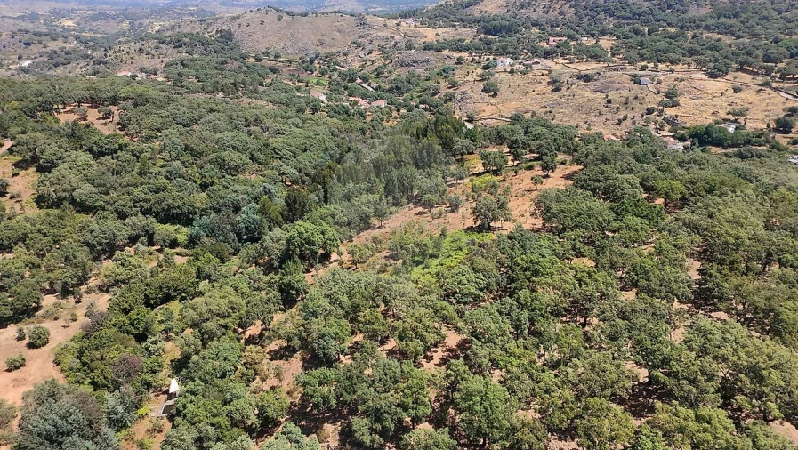 Terreno para Venda em Santa Maria de Marvão Foto 11