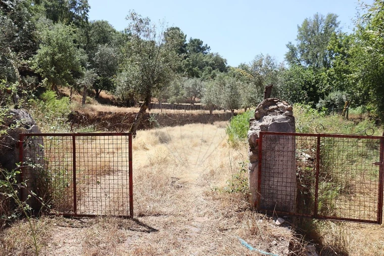 Terreno para Venda em Santa Maria de Marvão Foto 34