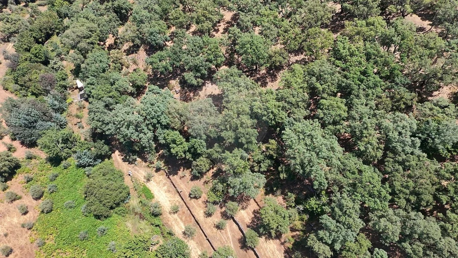 Terreno para Venda em Santa Maria de Marvão Foto 14