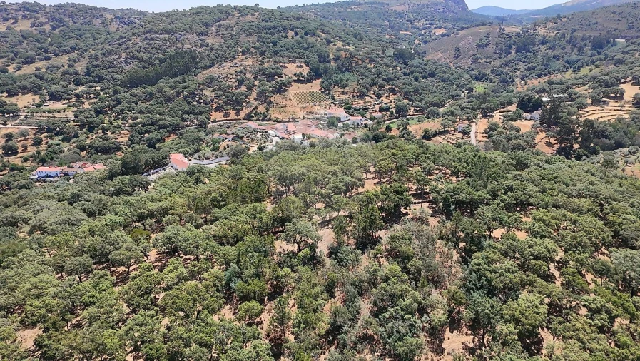 Terreno para Venda em Santa Maria de Marvão Foto 30