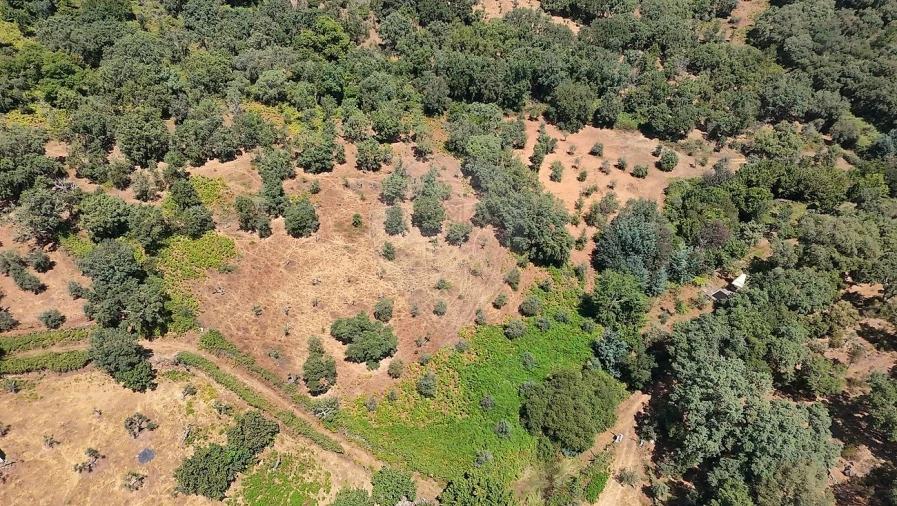 Terreno para Venda em Santa Maria de Marvão Foto 9