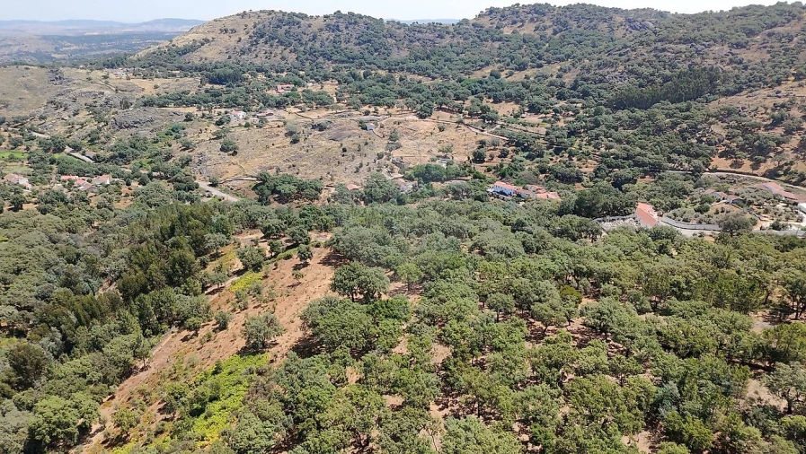 Terreno para Venda em Santa Maria de Marvão Foto 27