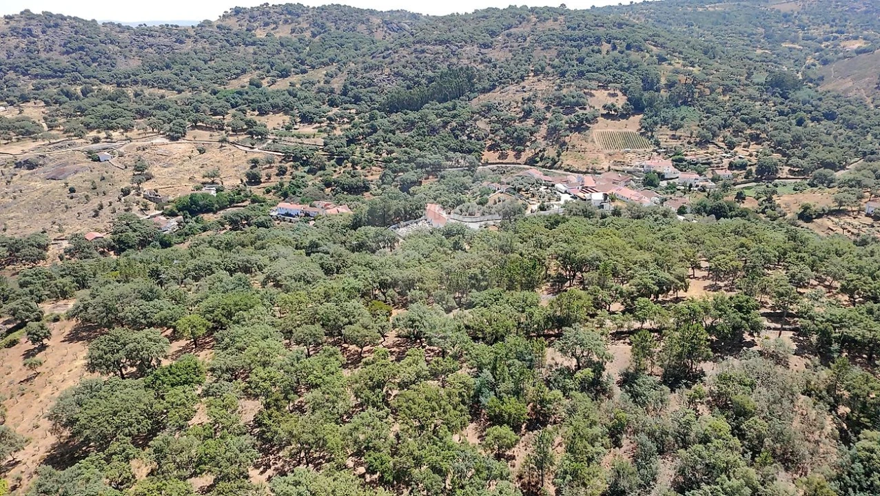 Terreno para Venda em Santa Maria de Marvão Foto 28