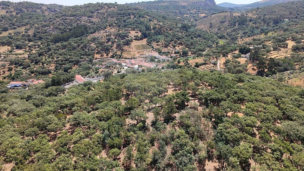 Terreno para Venda em Santa Maria de Marvão Foto 29