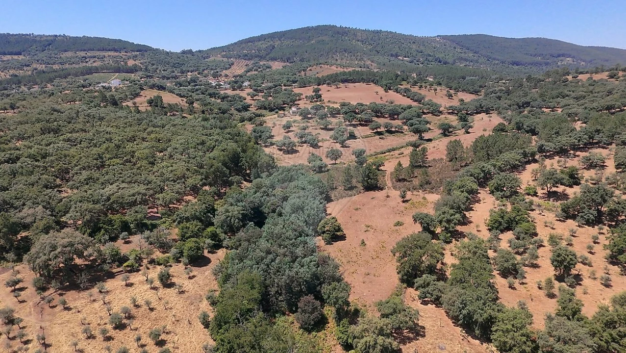 Terreno para Venda em Santa Maria de Marvão Foto 7