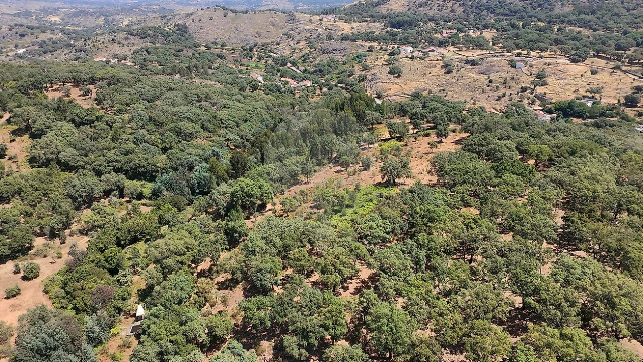 Terreno para Venda em Santa Maria de Marvão Foto 11