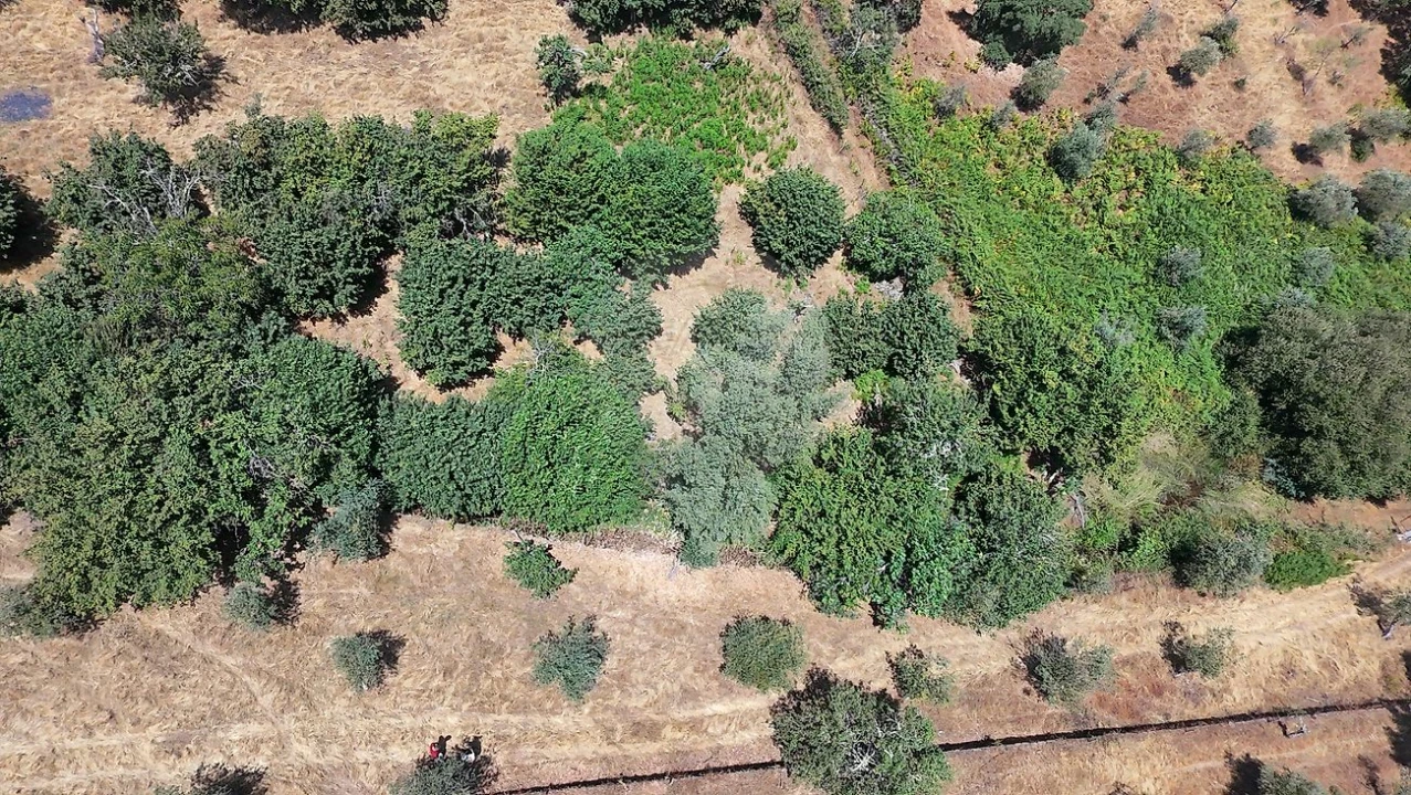 Terreno para Venda em Santa Maria de Marvão Foto 36