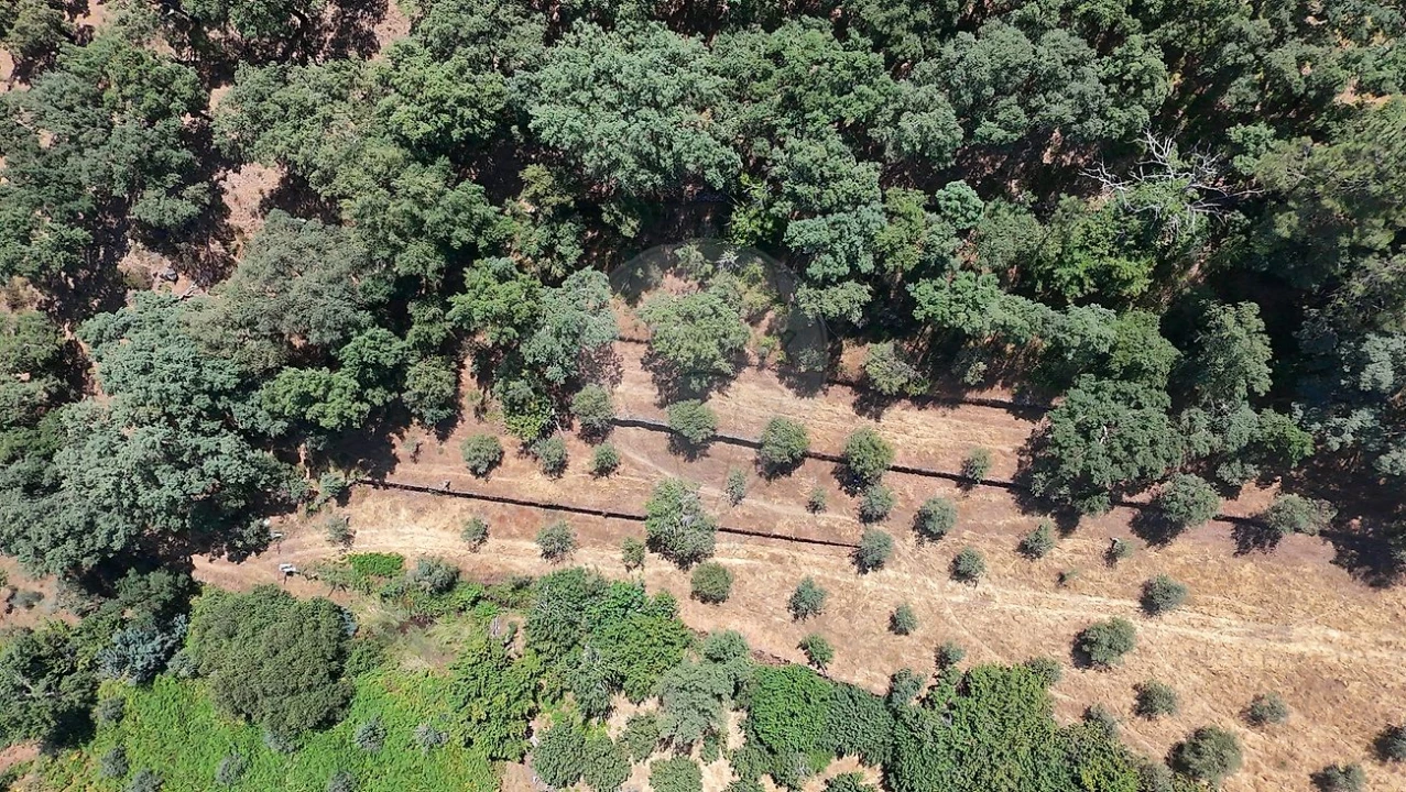 Terreno para Venda em Santa Maria de Marvão Foto 15
