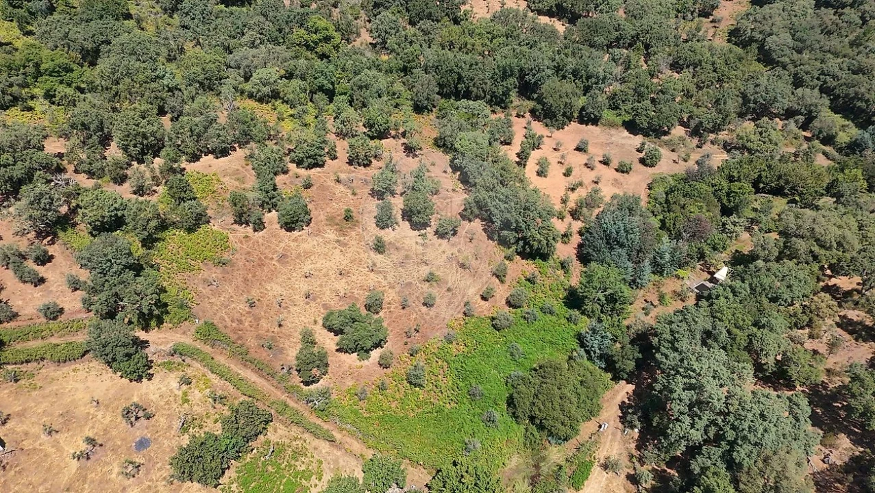 Terreno para Venda em Santa Maria de Marvão Foto 9