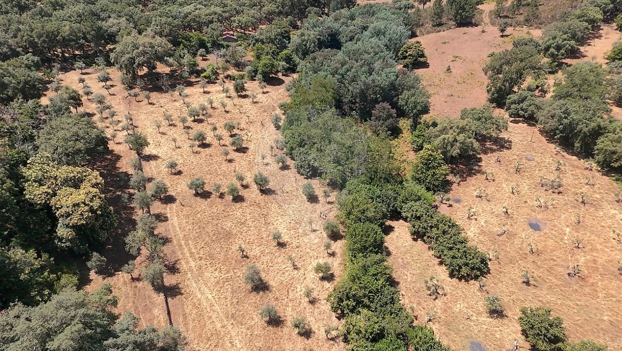 Terreno para Venda em Santa Maria de Marvão Foto 32
