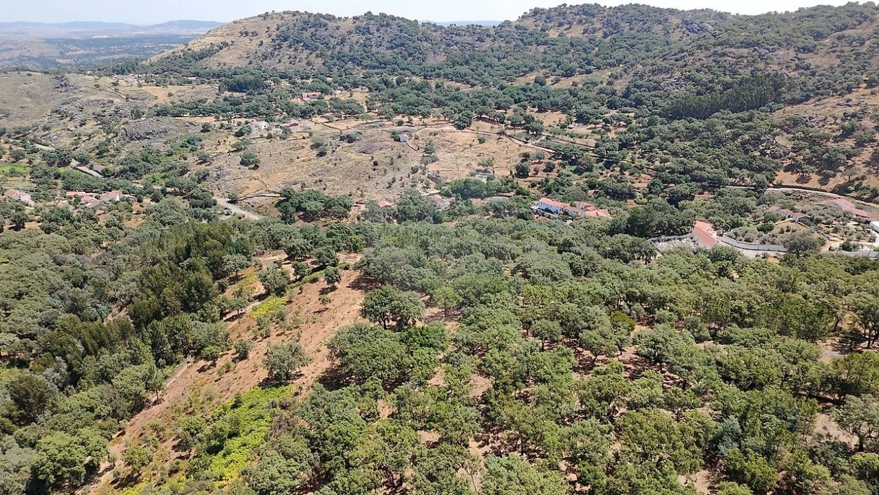 Terreno para Venda em Santa Maria de Marvão Foto 27