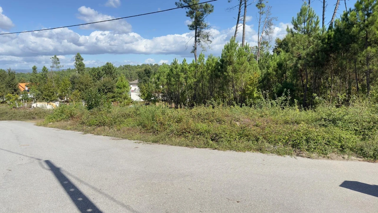 Terreno Agricola ou Rústico para Venda em Ribafeita Foto 1