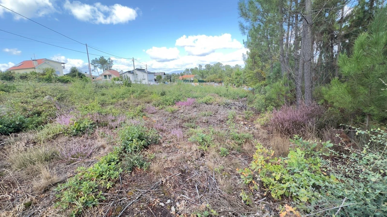 Terreno Agricola ou Rústico para Venda em Ribafeita Foto 12
