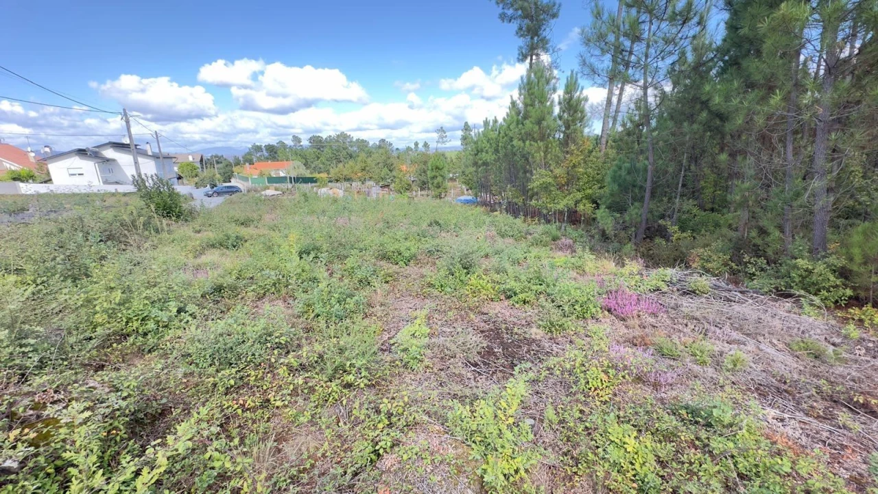 Terreno Agricola ou Rústico para Venda em Ribafeita Foto 13