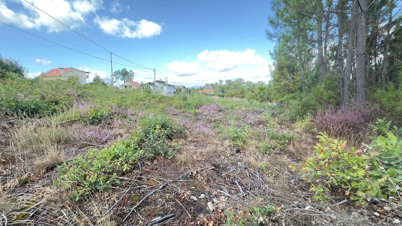 Terreno Agricola ou Rústico para Venda em Ribafeita Foto 15