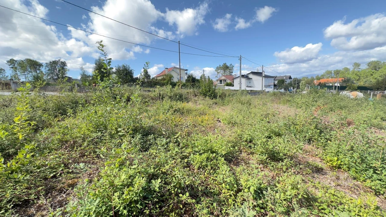 Terreno Agricola ou Rústico para Venda em Ribafeita Foto 16