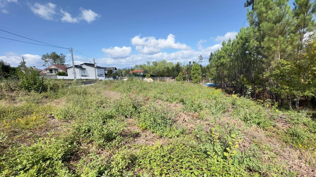 Terreno Agricola ou Rústico para Venda em Ribafeita Foto 17