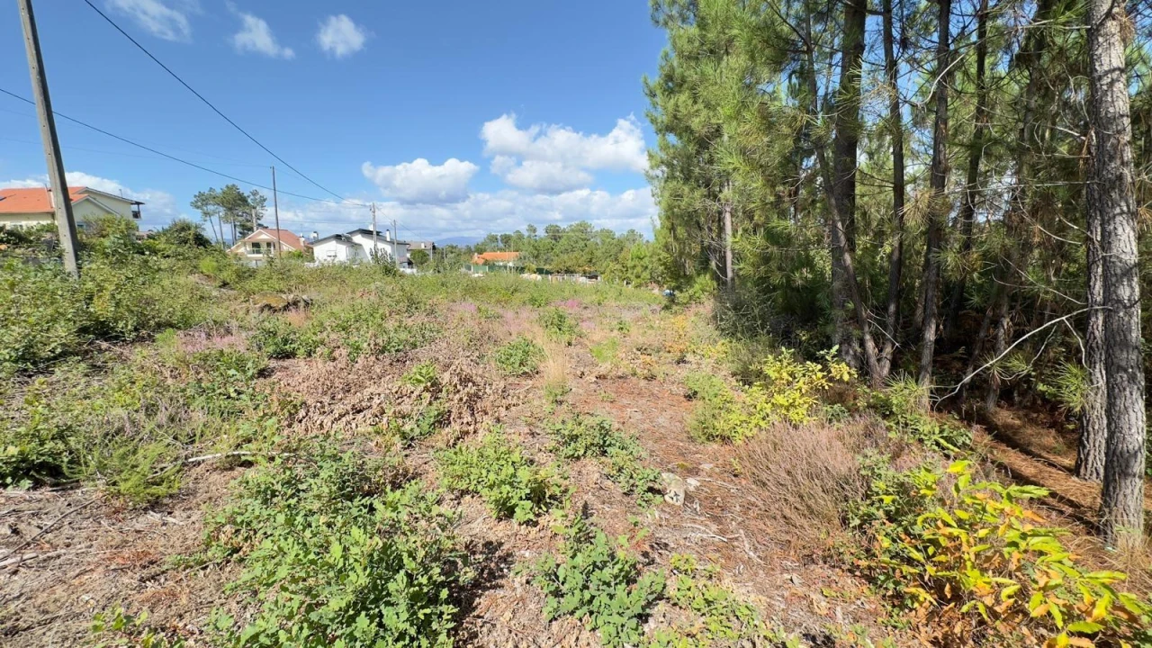 Terreno Agricola ou Rústico para Venda em Ribafeita Foto 18