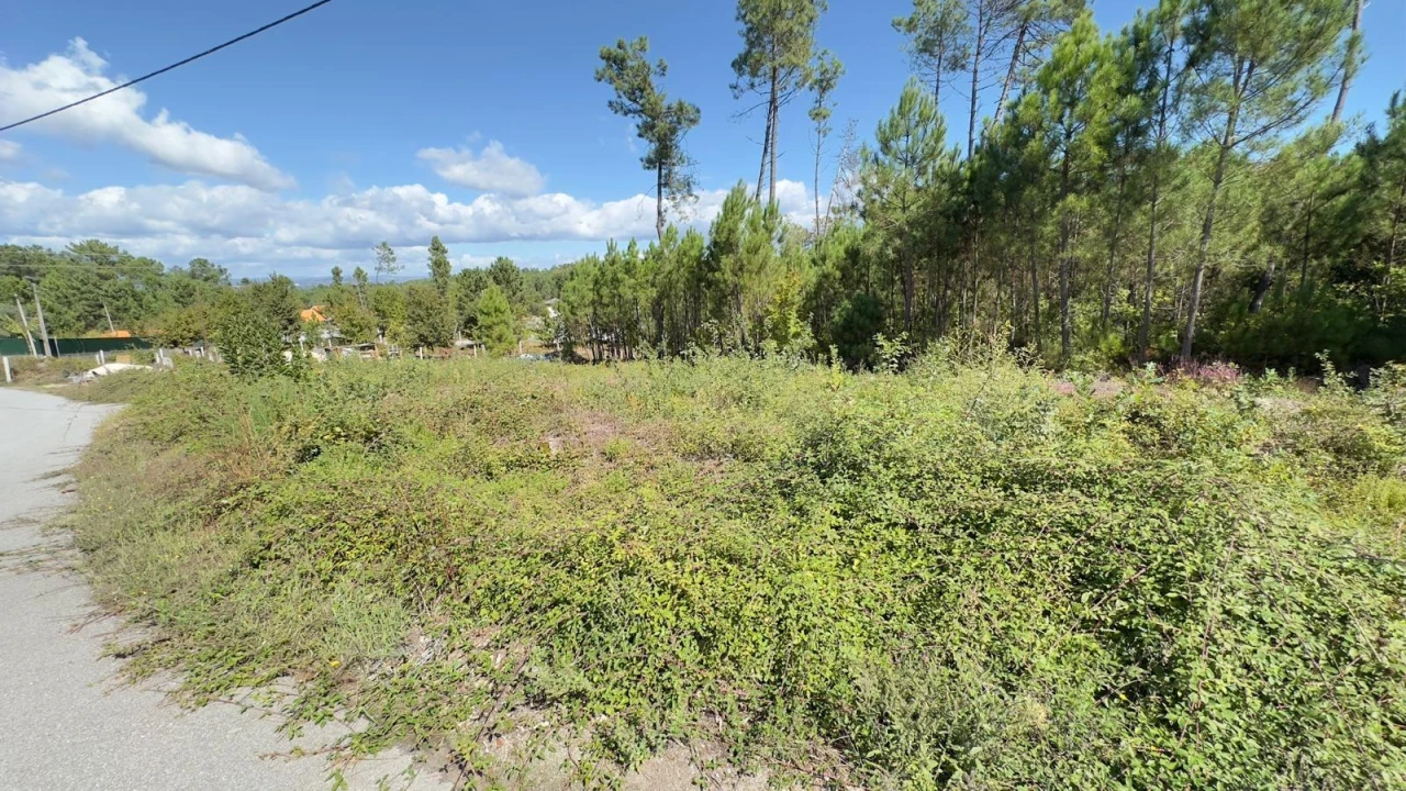 Terreno Agricola ou Rústico para Venda em Ribafeita Foto 19