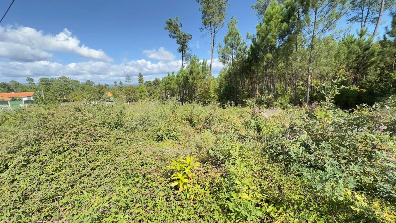 Terreno Agricola ou Rústico para Venda em Ribafeita Foto 20