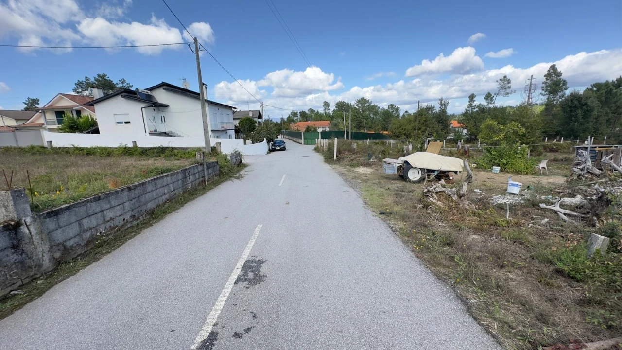 Terreno Agricola ou Rústico para Venda em Ribafeita Foto 22