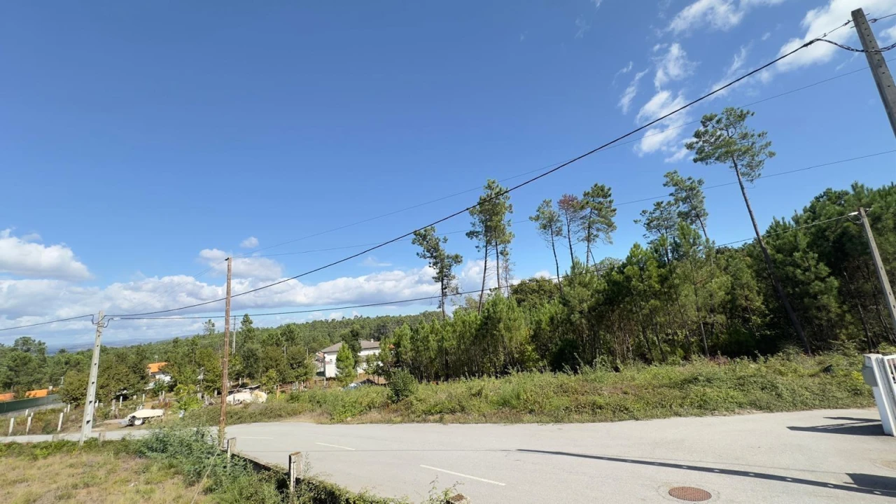 Terreno Agricola ou Rústico para Venda em Ribafeita Foto 23