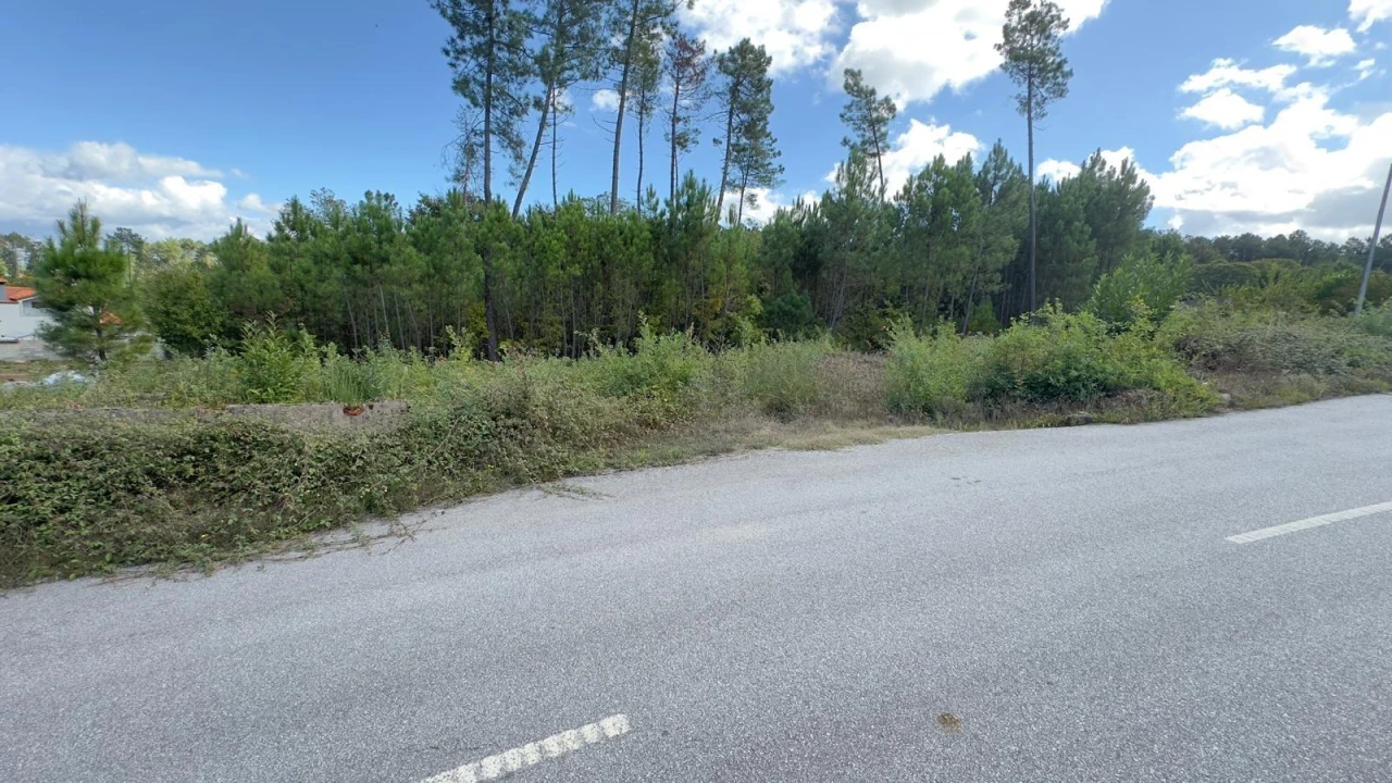 Terreno Agricola ou Rústico para Venda em Ribafeita Foto 27