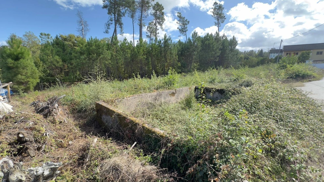 Terreno Agricola ou Rústico para Venda em Ribafeita Foto 4