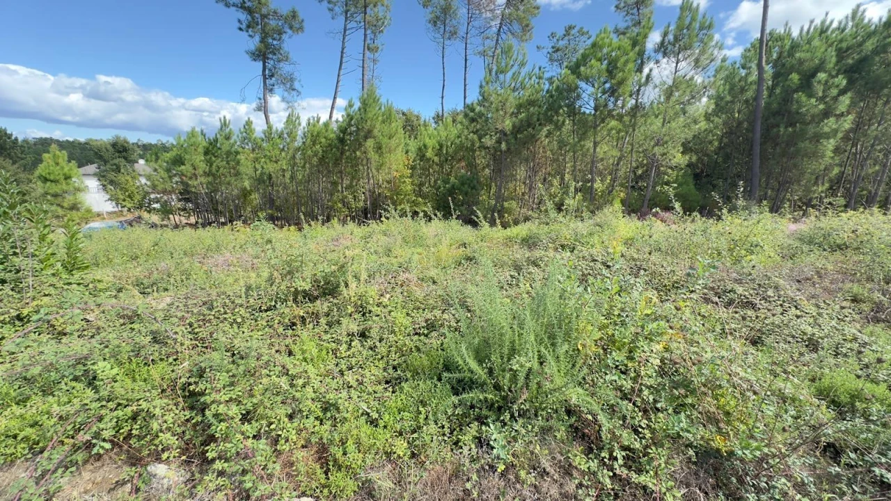Terreno Agricola ou Rústico para Venda em Ribafeita Foto 5