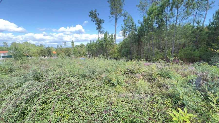 Terreno Agricola ou Rústico para Venda em Ribafeita Foto 10