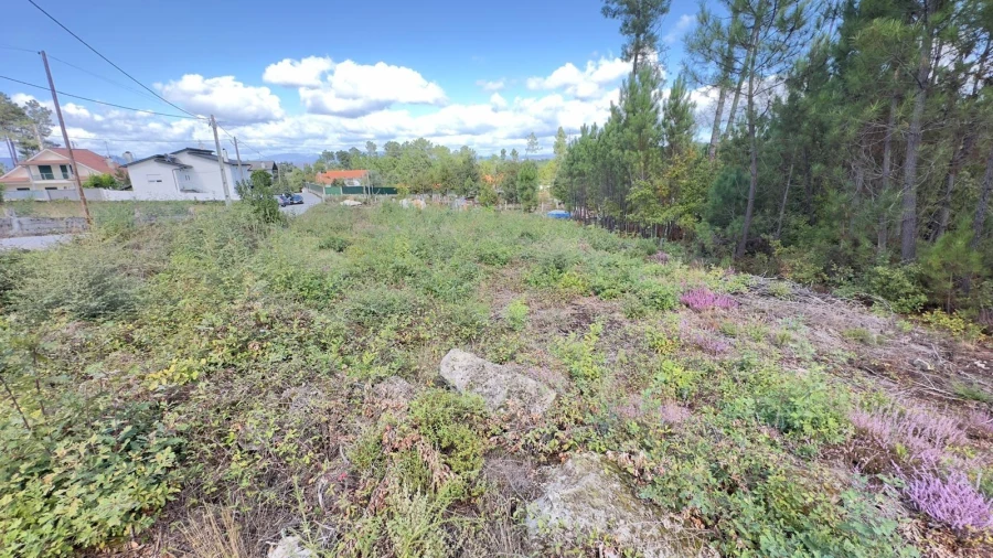 Terreno Agricola ou Rústico para Venda em Ribafeita Foto 11
