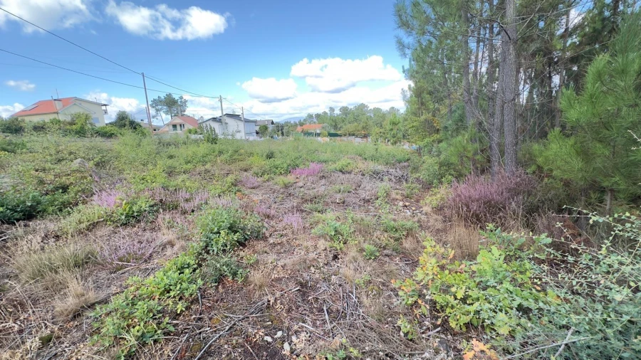 Terreno Agricola ou Rústico para Venda em Ribafeita Foto 12