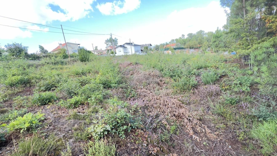 Terreno Agricola ou Rústico para Venda em Ribafeita Foto 14