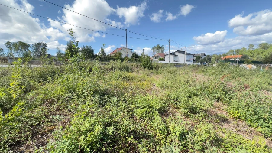 Terreno Agricola ou Rústico para Venda em Ribafeita Foto 16