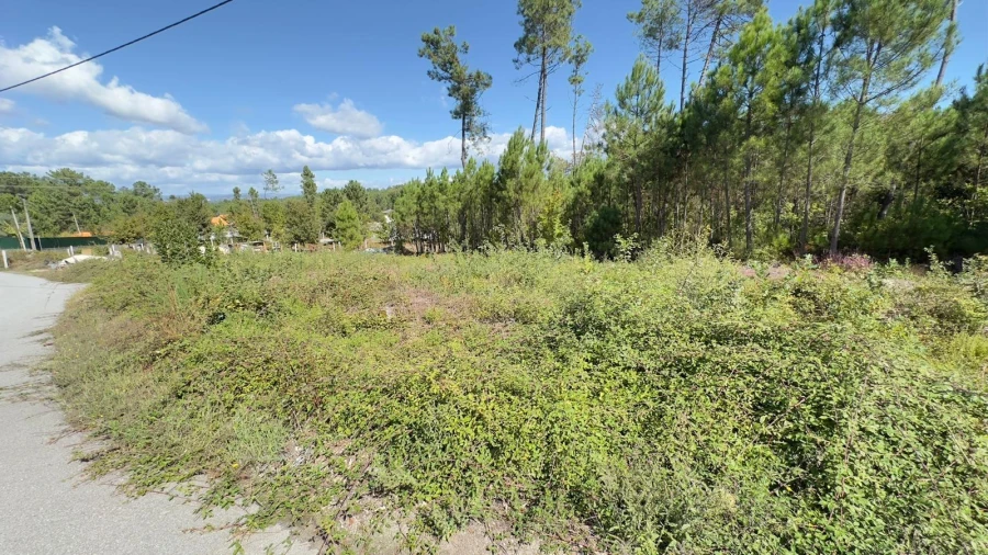 Terreno Agricola ou Rústico para Venda em Ribafeita Foto 19