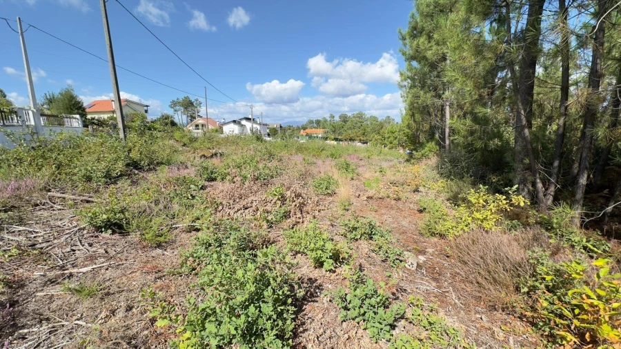 Terreno Agricola ou Rústico para Venda em Ribafeita Foto 21
