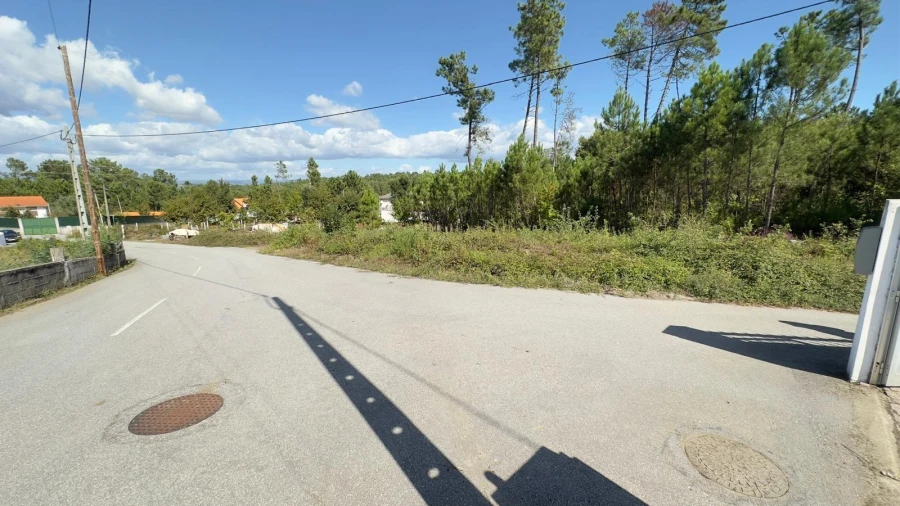 Terreno Agricola ou Rústico para Venda em Ribafeita Foto 24