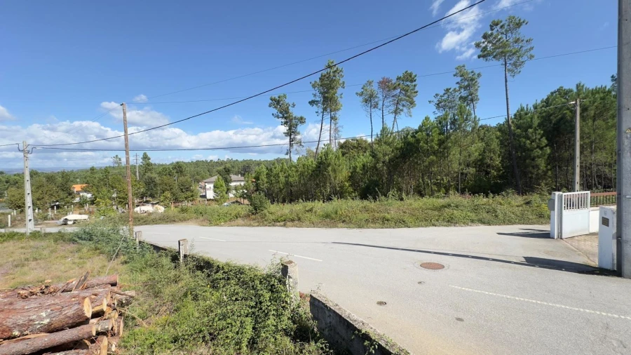Terreno Agricola ou Rústico para Venda em Ribafeita Foto 26