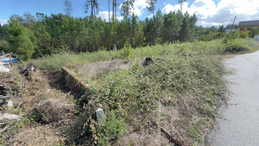 Terreno Agricola ou Rústico para Venda em Ribafeita Foto 29