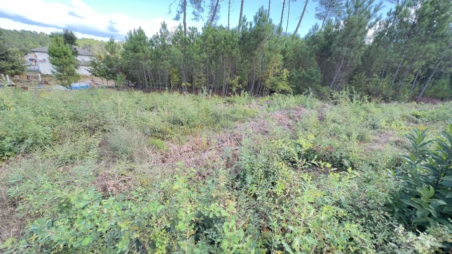 Terreno Agricola ou Rústico para Venda em Ribafeita Foto 7