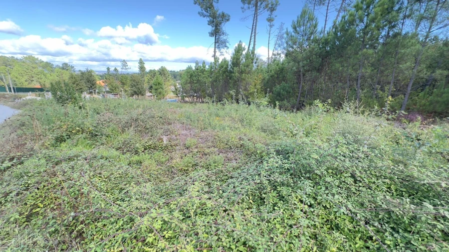 Terreno Agricola ou Rústico para Venda em Ribafeita Foto 9