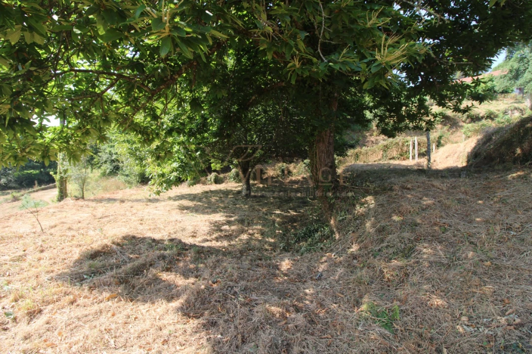 Moradia T1 para Venda em Mentrestido Foto 4