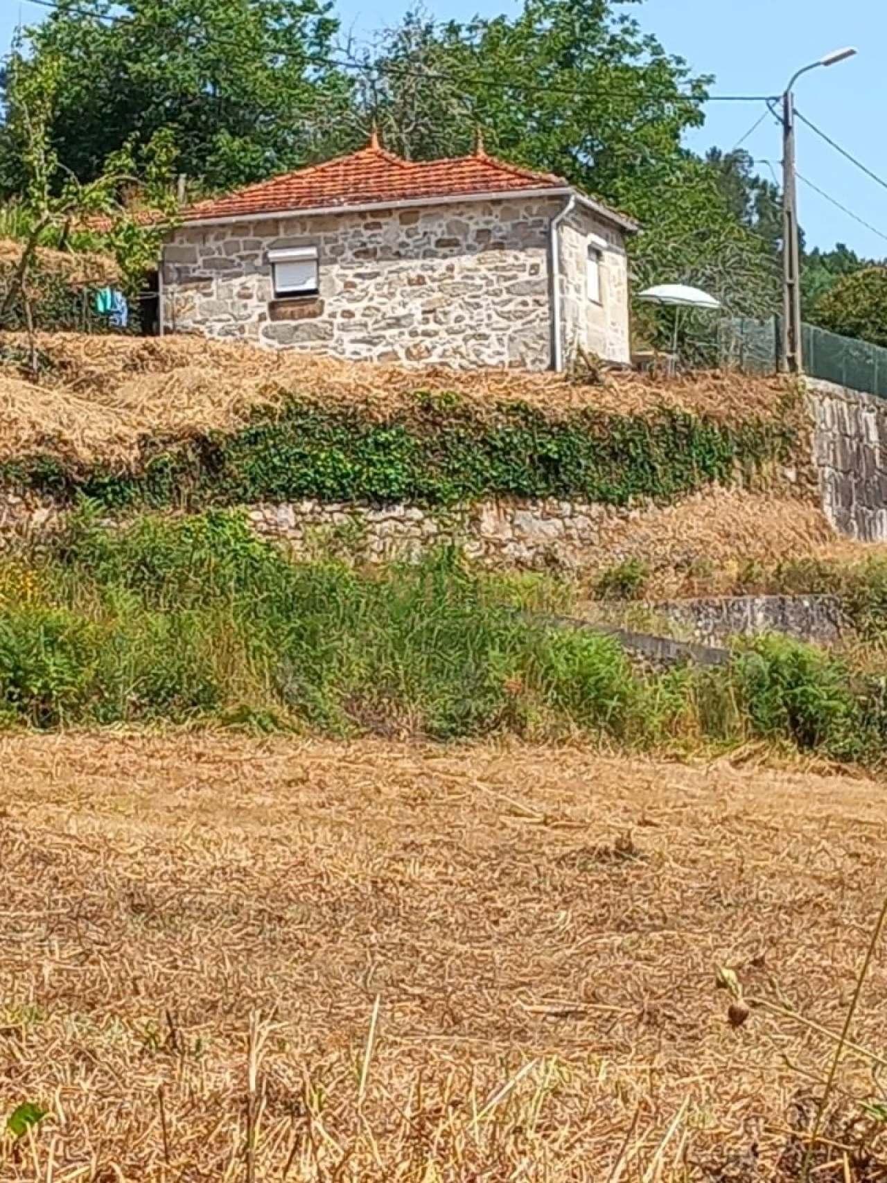 Moradia T1 para Venda em Mentrestido Foto 11