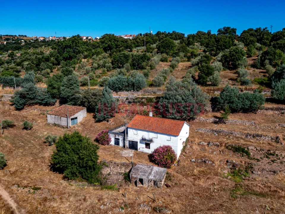 Moradia T3 para Venda em Pinhel Foto 2